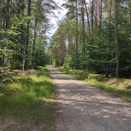 Wakacyjny Sosnowy Zakątek *